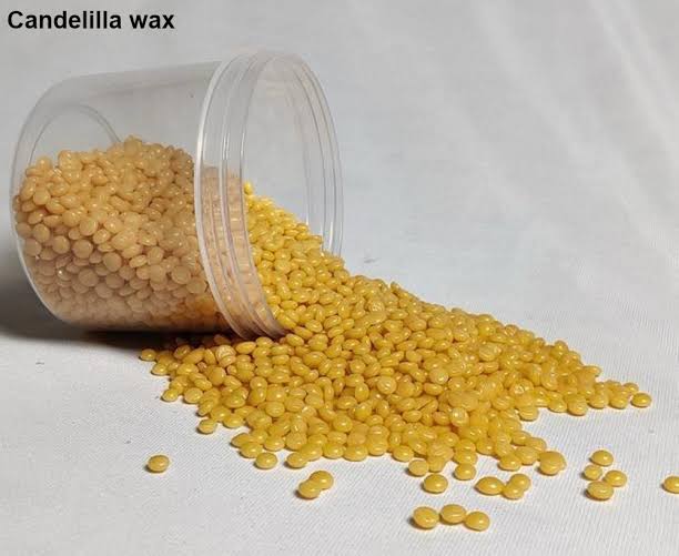Candelilla Wax